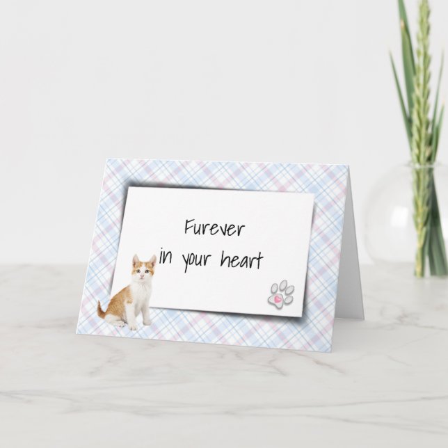 Tabby Cat Auf Kariertem Tier Loss Beileid Karte (Vorderseite)
