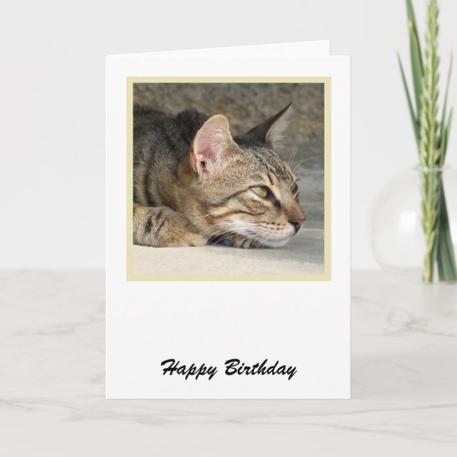 Tabby Cat Birthday Card Karte (Vorderseite)