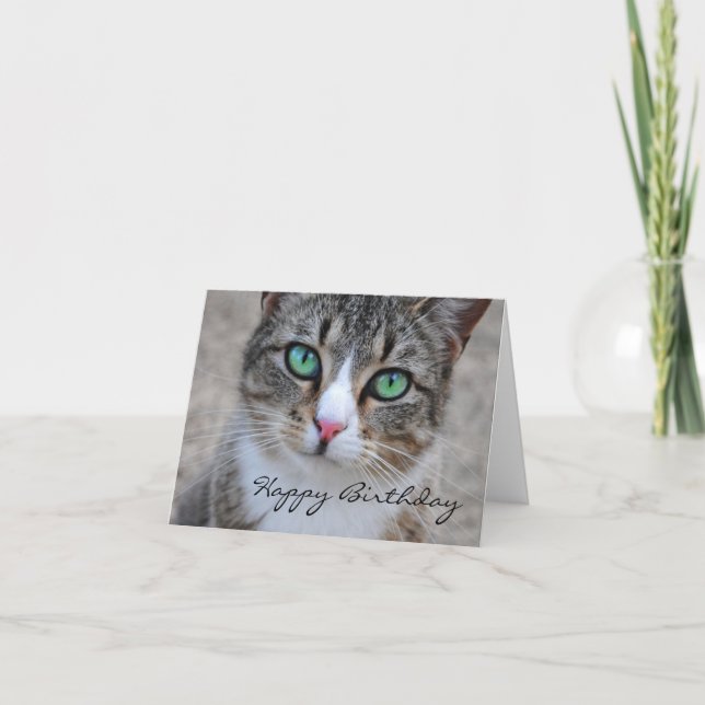 Tabby Cat Bonne Carte Anniversaire (Devant)
