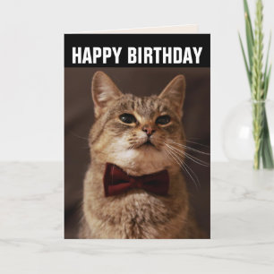 TABBY CAT BOW CRAVATE CARTE DE SALUT D'ANNIVERSAIR