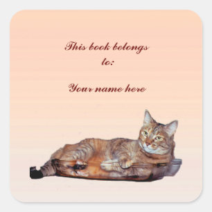 Tabby Cat Buchzeichen Quadratischer Aufkleber
