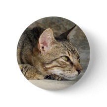 Tabby Cat Button