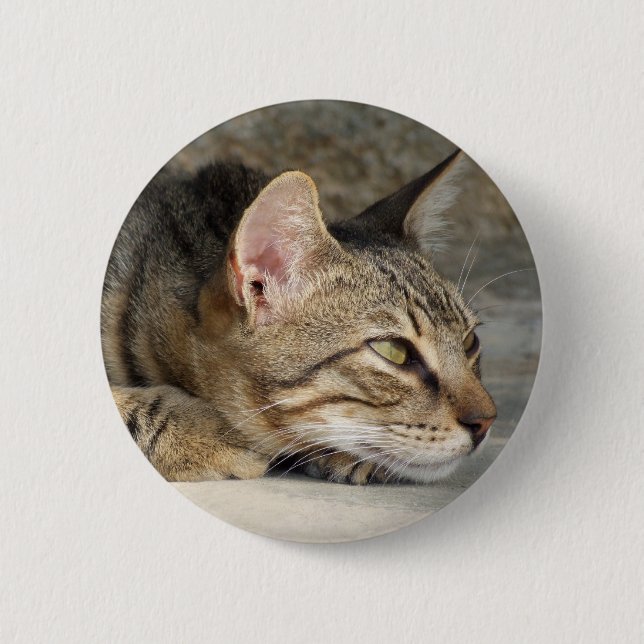 Tabby Cat Button (Vorderseite)
