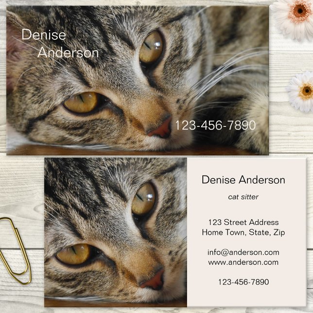 Tabby Cat - Cat Sitter Visitenkarte (Business card featuring a lovely tabby cat. Great for a cat sitter, cat rescue, animal shelter)