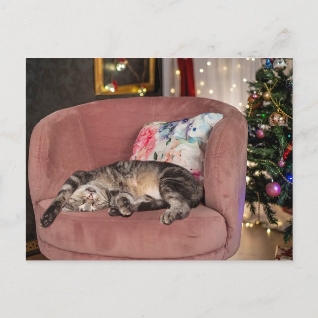 Tabby Cat Christmas Snooze Postkarte (Vorderseite)