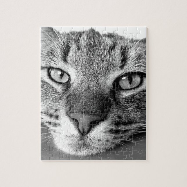 TABBY CAT CLOSEUP PUZZLE (Vertikal)