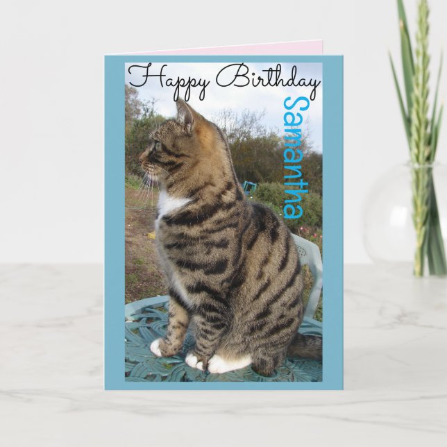 Tabby Cat Cute Strited Cats Carte Anniversaire (Devant)