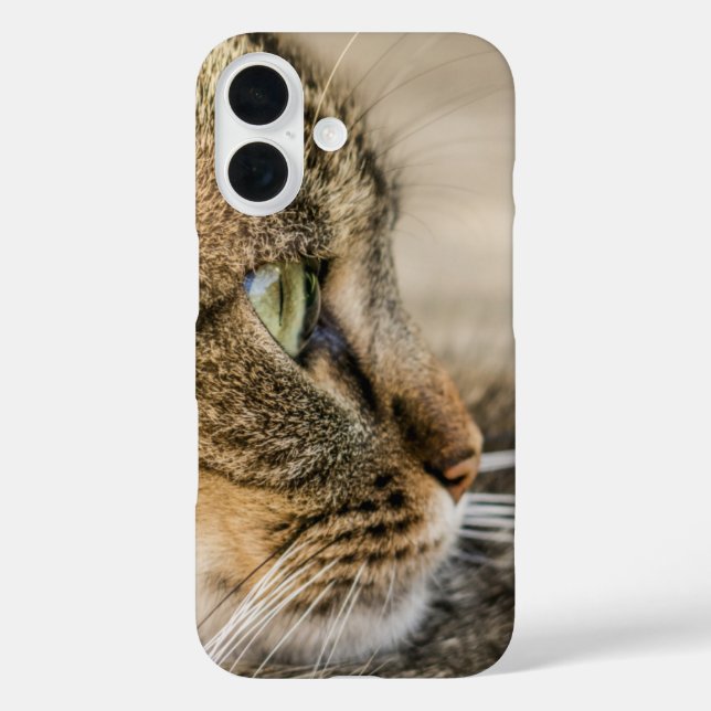 Tabby Cat Face Nah-up iPhone 16 Hülle (Rückseite)