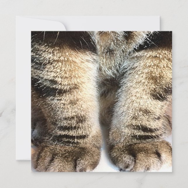 Tabby Cat Flat Card, Tabby, Tabby Legs, (Vorderseite)
