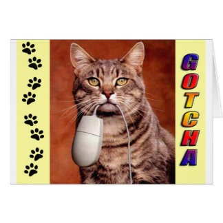 Tabby Cat Gotcha