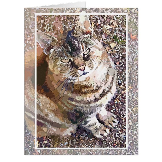 TABBY CAT GREETKARTE (Vorderseite)