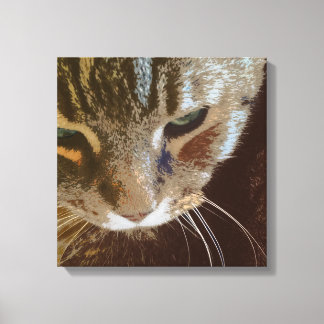 Tabby Cat Gros plan Toile Enveloppée