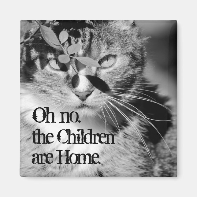 Tabby Cat Hiding "Oh nein, die Kinder sind Zuhause Magnet (Vorne)