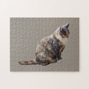 Tabby Cat in Brauntönen