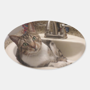 Tabby Cat in Sink Stickers