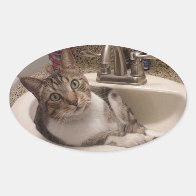 Tabby Cat in Sink Stickers (Vorderseite)