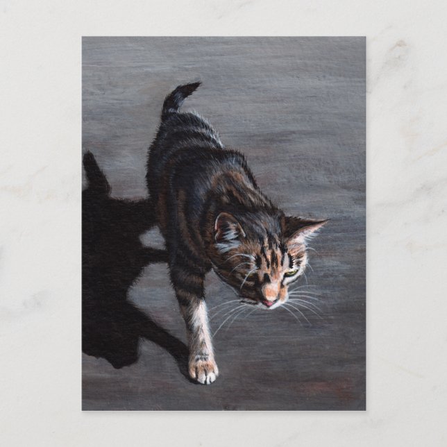 Tabby Cat in Sun mit Shadow Postcard Postkarte (Vorderseite)