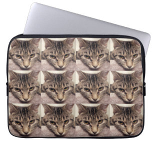 Tabby Cat-Instagram von Shirley Taylor Laptopschutzhülle