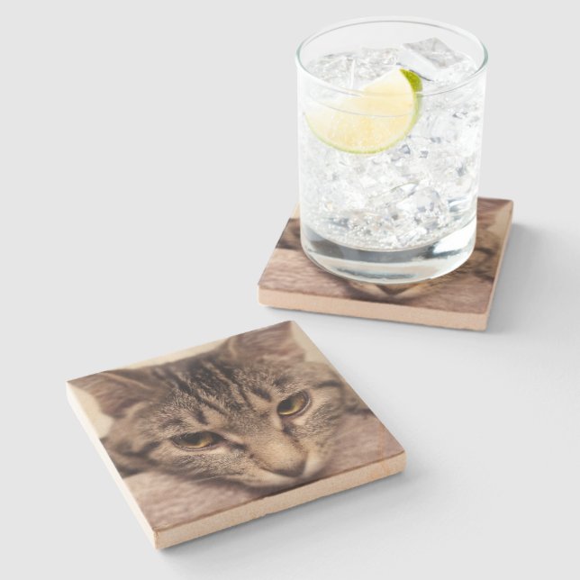 Tabby Cat-Instagram von Shirley Taylor Steinuntersetzer (Seitenansicht)