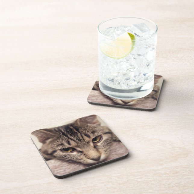 Tabby Cat-Instagram von Shirley Taylor Untersetzer (Rechte Seite)