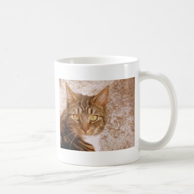 Tabby Cat Kaffeetasse (Rechts)