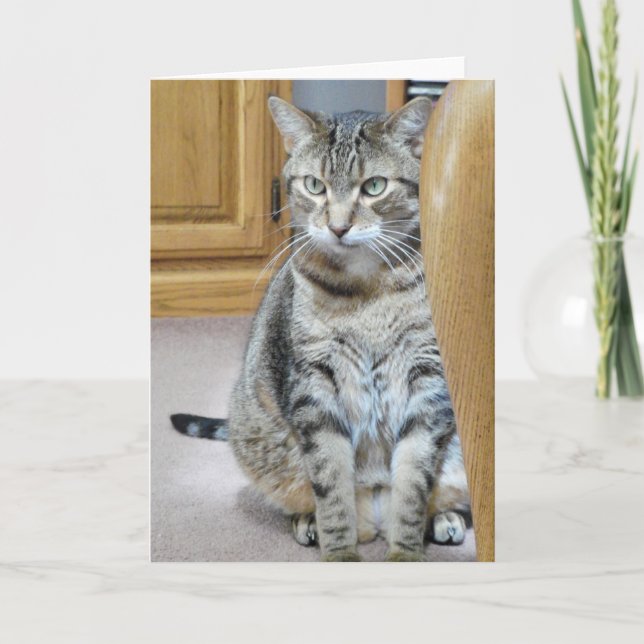 Tabby Cat Karte (Vorderseite)