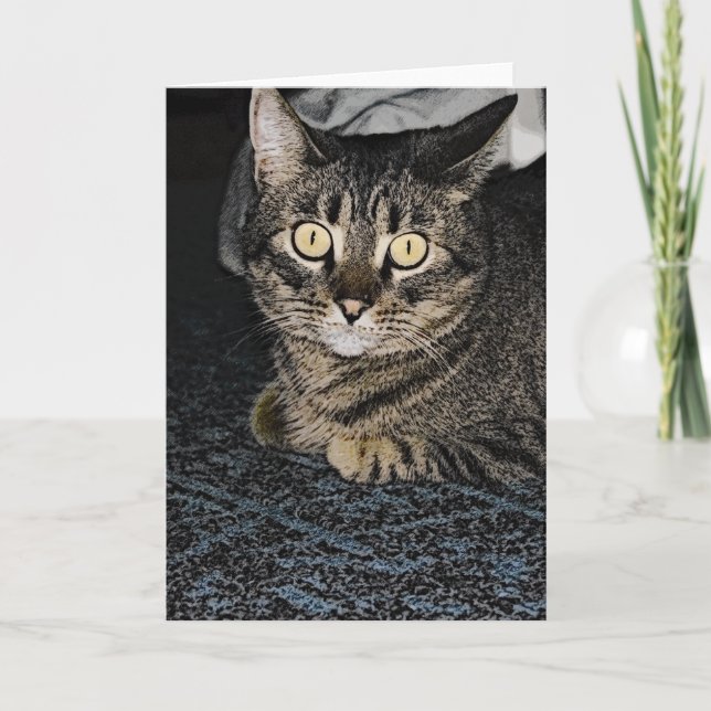 Tabby Cat Karte (Vorderseite)