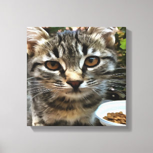 Tabby Cat Kitten Augenkontakt Leinwanddruck