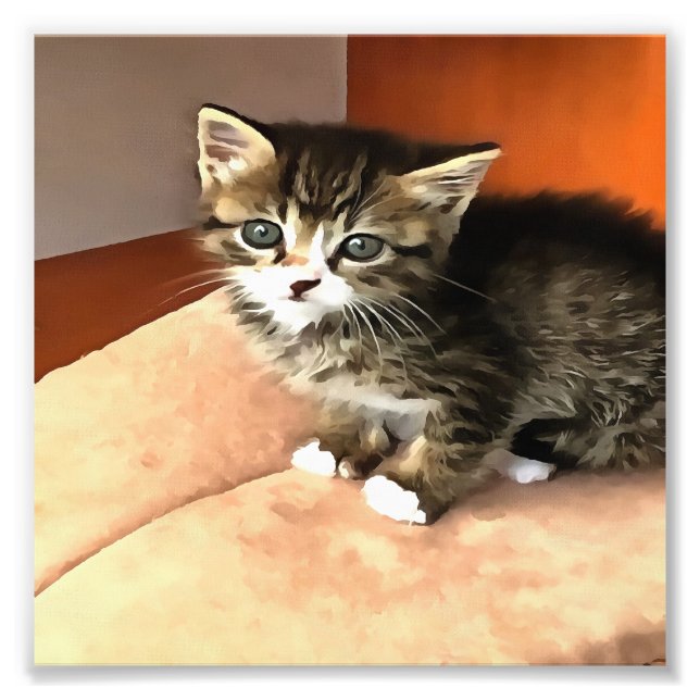 Tabby Cat Kitten Pet Portrait Fotodruck (Vorne)