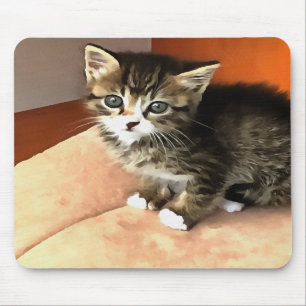 Tabby Cat Kitten Pet Portrait Mousepad