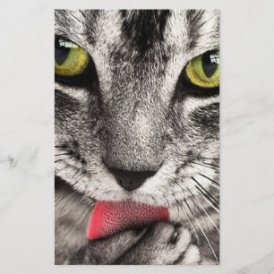 Tabby Cat Licking Paw Briefpapier