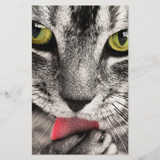 Tabby Cat Licking Paw Briefpapier (Vorderseite)