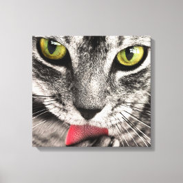 Tabby Cat Licking Paw Leinwanddruck