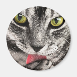 Tabby Cat Licking Paw Magnet