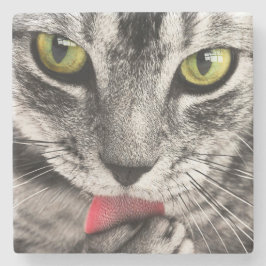 Tabby Cat Licking Paw Steinuntersetzer