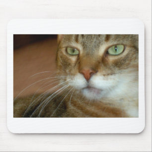 Tabby Cat Liebe Mousepad