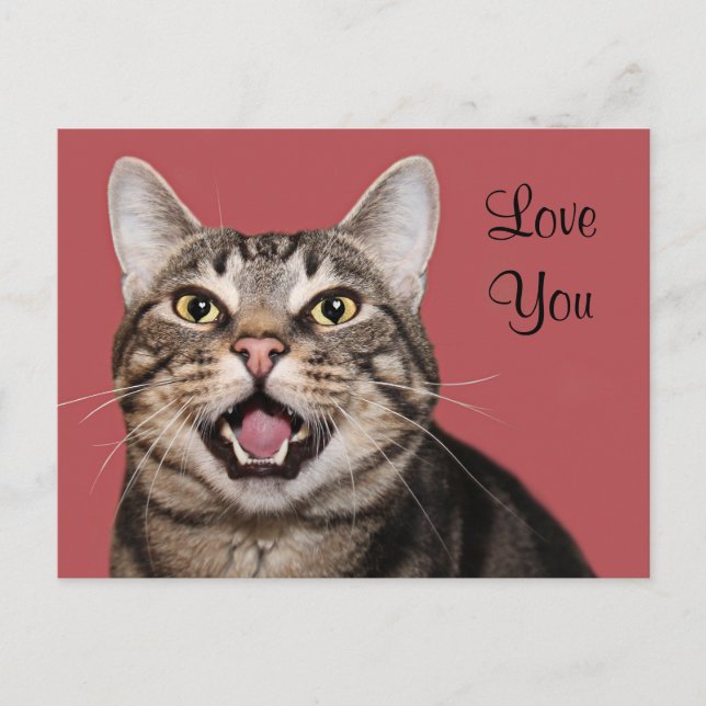 Tabby Cat Liebe Postkarte (Vorderseite)