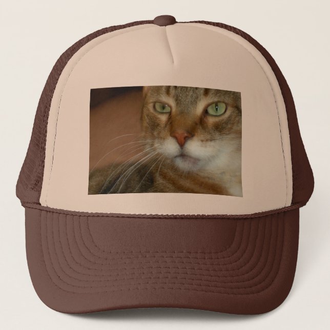 Tabby Cat Liebe Truckerkappe (Vorderseite)