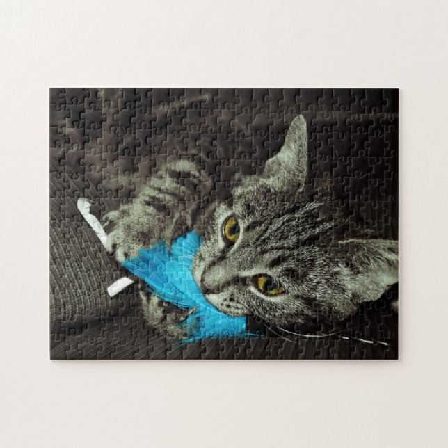 Tabby Cat mit Feather von Shirley Taylor (Horizontal)