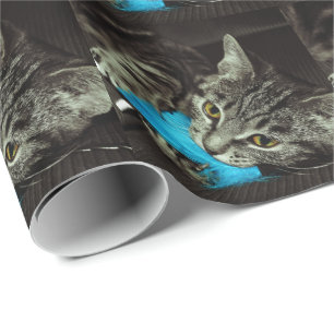 Tabby Cat mit Feather von Shirley Taylor Geschenkpapier