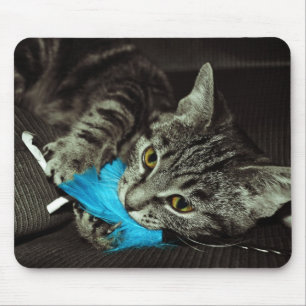 Tabby Cat mit Feather von Shirley Taylor Mousepad