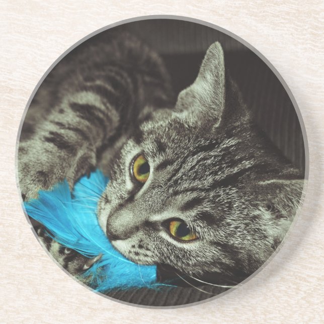 Tabby Cat mit Feather von Shirley Taylor Sandstein Untersetzer (Vorne)