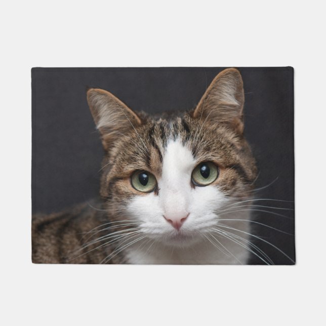Tabby Cat mit grünen Augen gegen schwarzen Hinterg Fußmatte (Vorderseite)