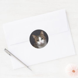 Tabby Cat mit grünen Augen gegen schwarzen Hinterg Runder Aufkleber