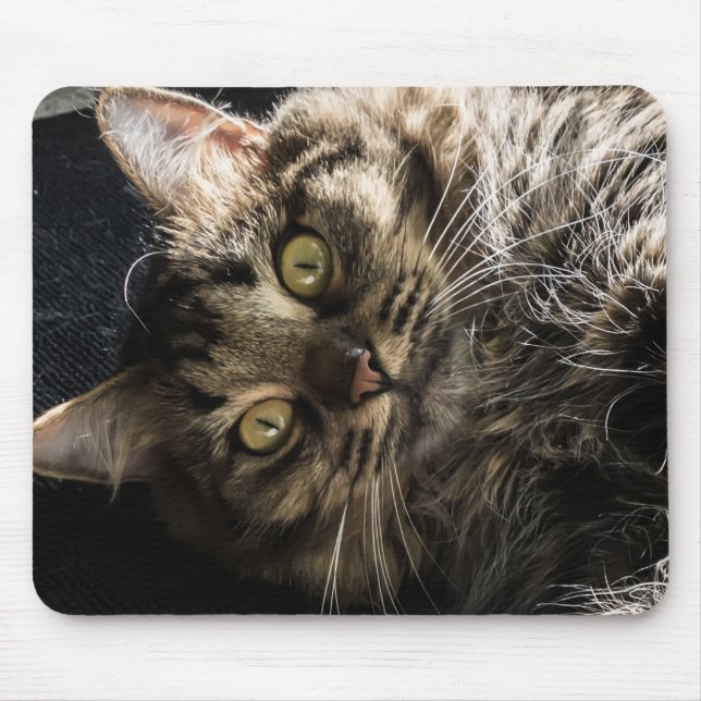 Tabby Cat Mousepad (Vorne)