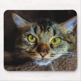 Tabby Cat Mousepad