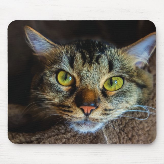 Tabby Cat Mousepad (Vorne)