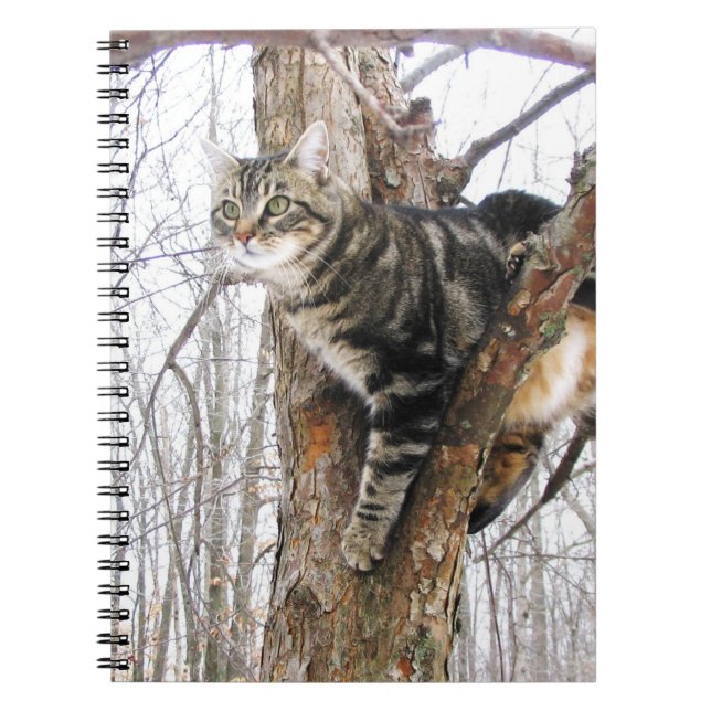 Tabby Cat Notebook Notizblock (Vorderseite)