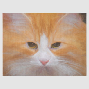 Tabby Cat Orange White Niedlich Fluffy Schöne Seidenpapier