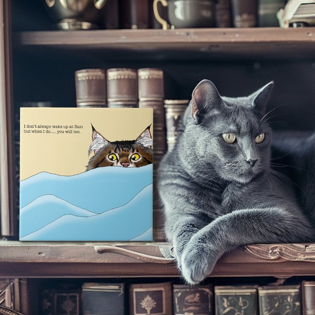 Tabby Cat Peeking Blue Funny Fliese (Von Creator hochgeladen)